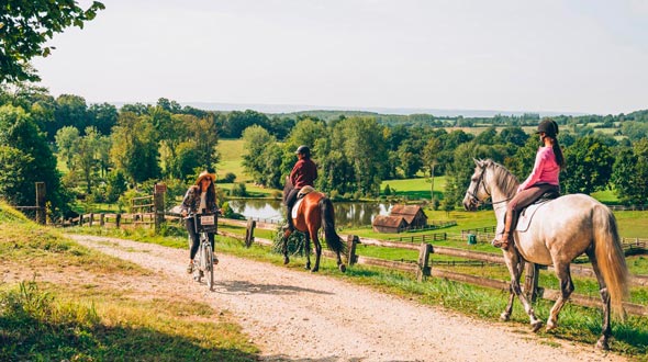 A pied et à cheval au Haras du Pin © BestJobers Max Coquard
