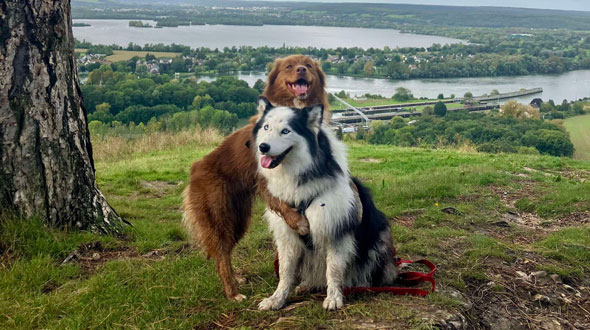 Accueil dog friendly © Capucine Haloche